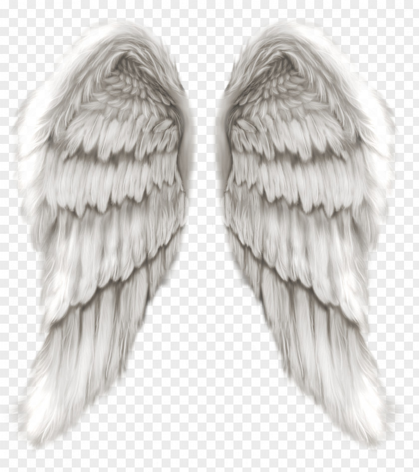 Angel Wings Michael Clip Art PNG