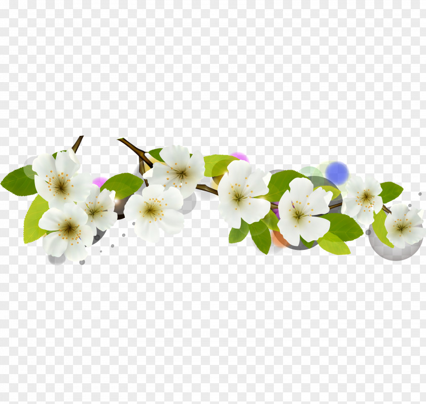 Spring On The New Fine Apricot Vector Computer File PNG