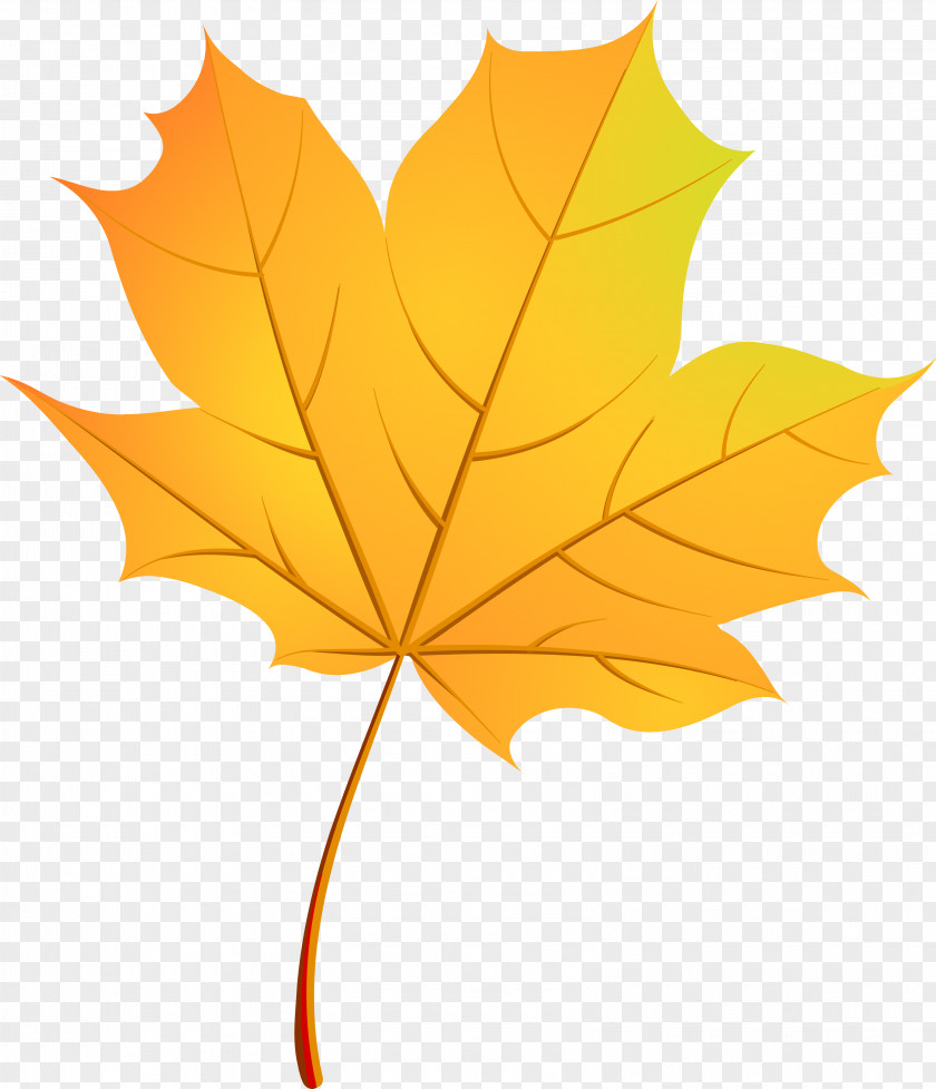 Vector Gold Autumn Leaf Pattern Leaves Maple PNG