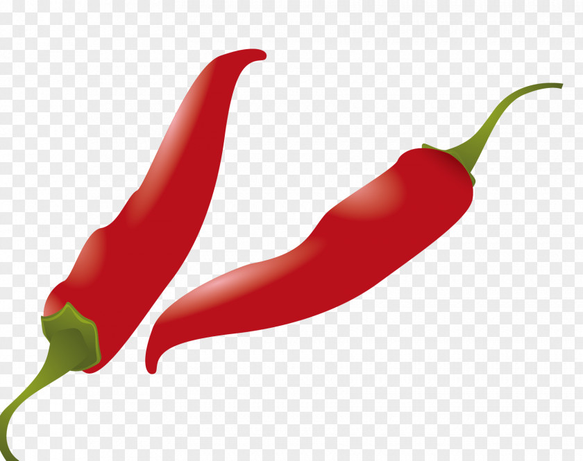 Vector Red Pepper Capsicum Annuum Napa Cabbage Vegetable Ingredient PNG