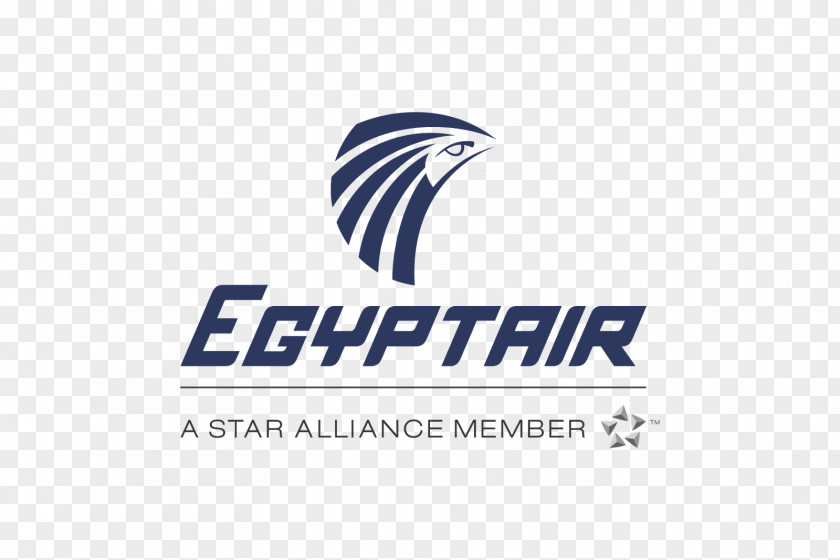 Air Vector EgyptAir Flight 804 Airbus A330 Airline PNG