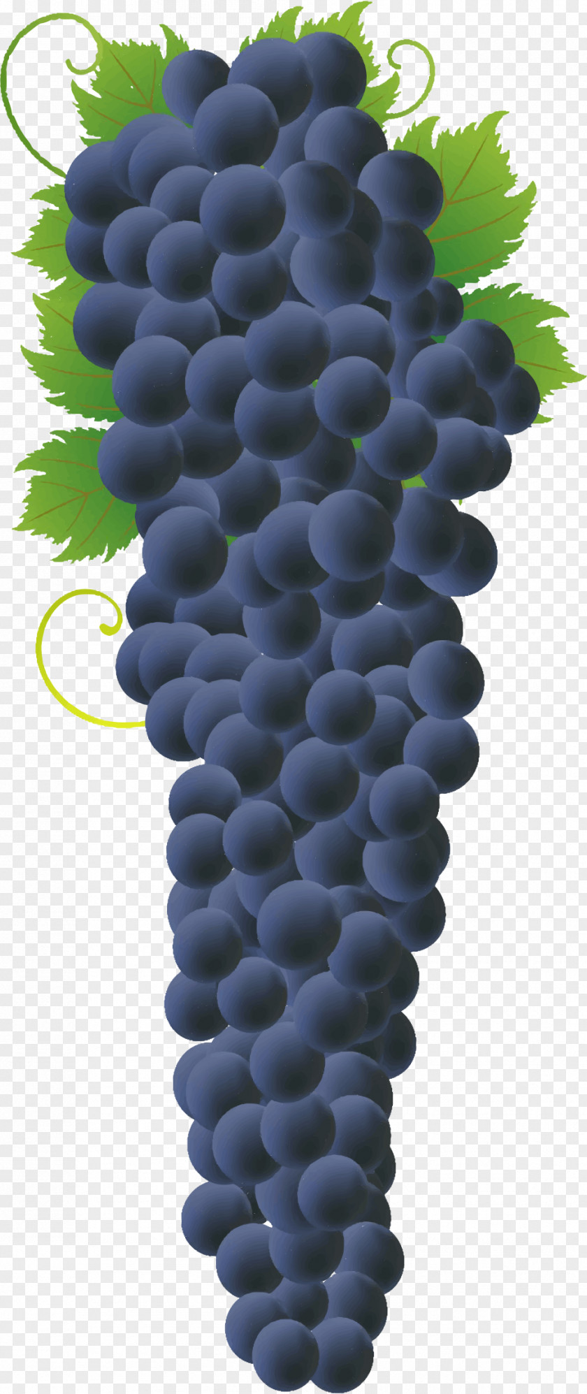 Delicious Common Grape Vine Concord Wine Juice PNG