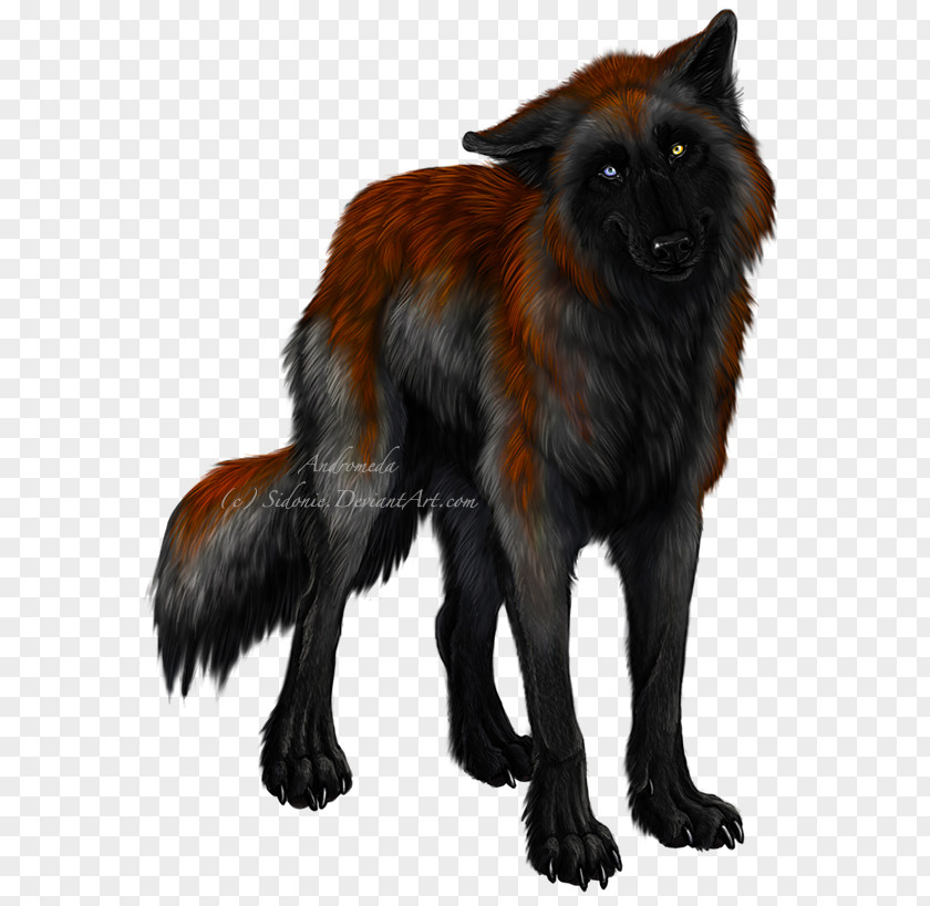 Dog Red Fox Breed Dhole The Wolf And PNG