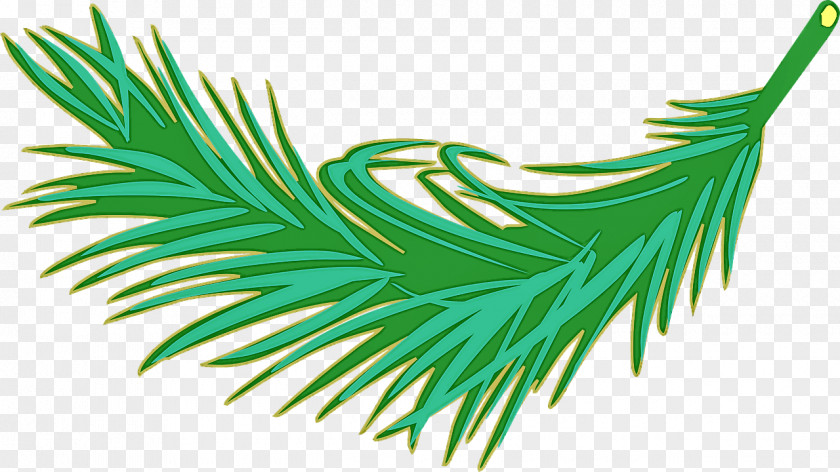 Green Leaf Tree Plant Grass PNG