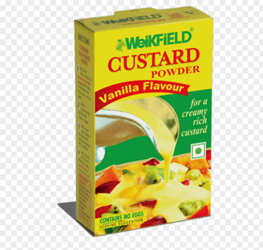 Ice Cream Custard Vegetarian Cuisine Weikfield Foods Pvt Ltd . Vanilla PNG