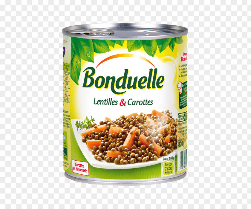 Vegetable Flageolet Bean Canning Ragout Tin Can Chili Con Carne PNG