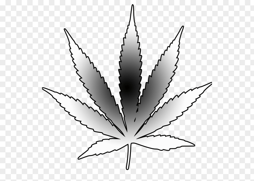 Weed Medical Cannabis Drawing Leaf PNG