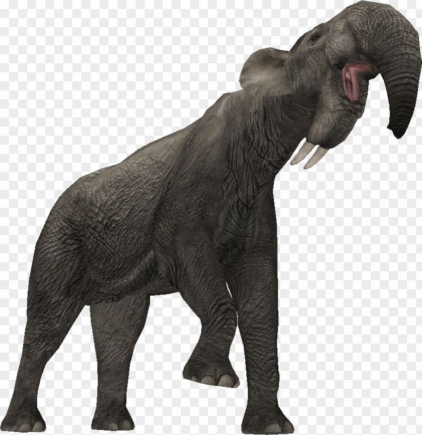 African Forest Elephant Indian Zoo Tycoon 2: Extinct Animals Deinotherium PNG