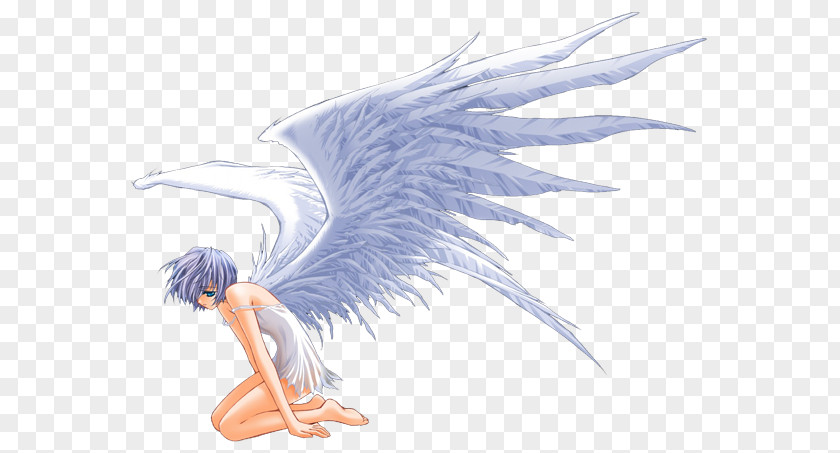 Bird Angel Wing Cherub Feather PNG