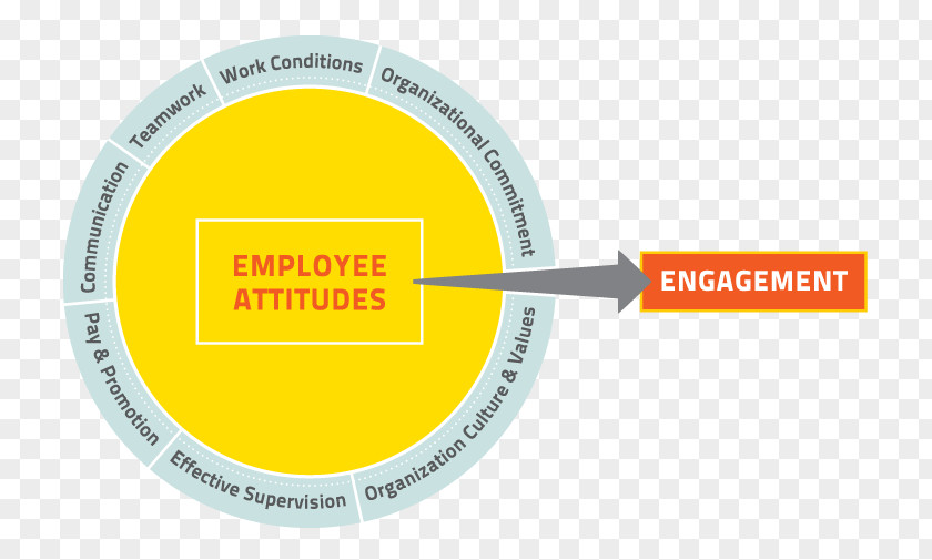 Employee Engagement Brand Font PNG