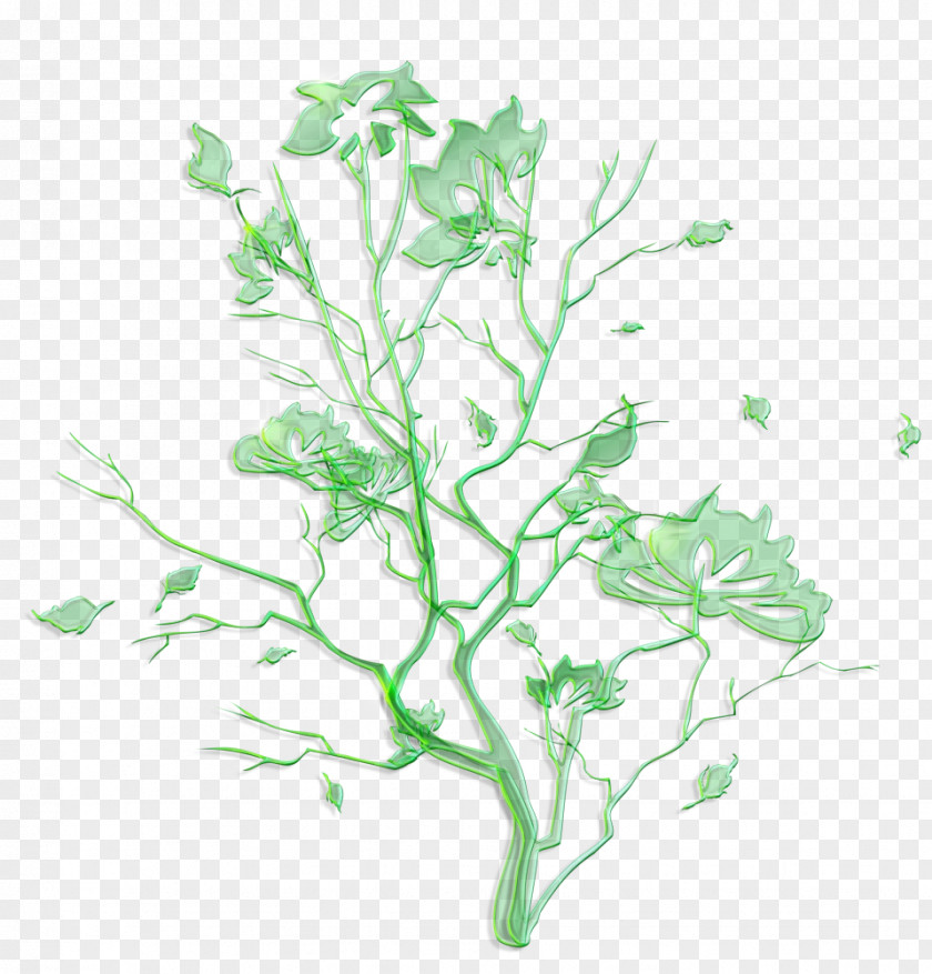 Twig Flower Branch Green Plant Leaf Stem PNG