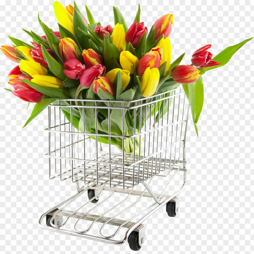 Bouquet Tulip Flower Shopping Nosegay PNG
