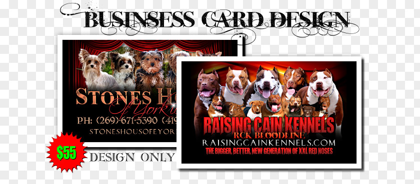 Business Cards Design American Pit Bull Terrier Dog Breeding Kennel Breeder PNG