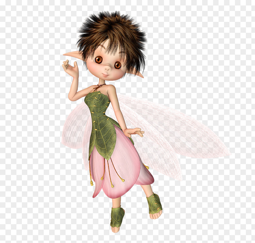 Elf Fairy Duende Gnome PNG