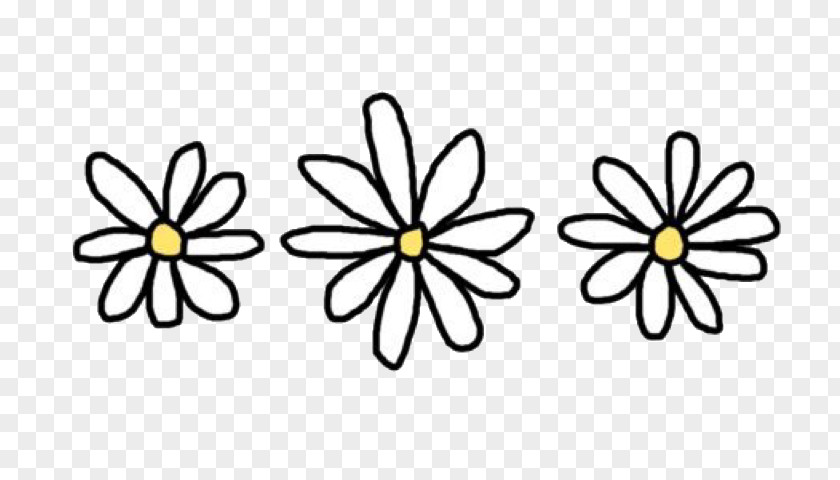 Flower Common Daisy Drawing Princess PNG