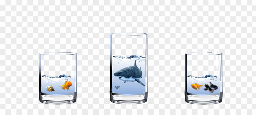 Glass Containing Fish Highball Water Cup PNG