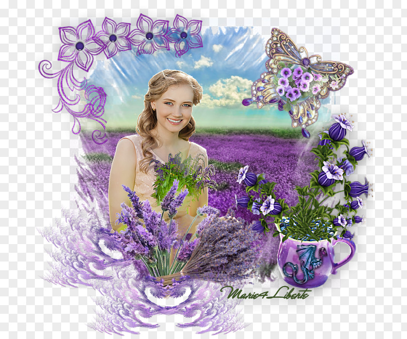 Lavande English Lavender Floral Design Flower Bouquet PNG