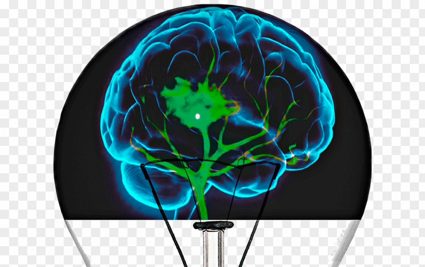 Miopia Human Brain Cognitive Training Neuroimaging Reabilitação Neurológica PNG