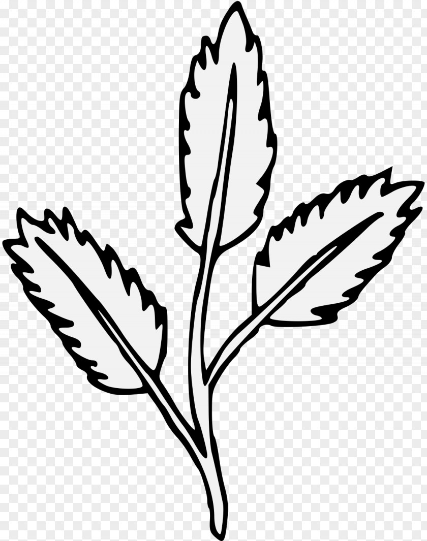 Sprig Badge A Branch Of Tree: McGee Family In History Clip Art Drawing Illustration PNG