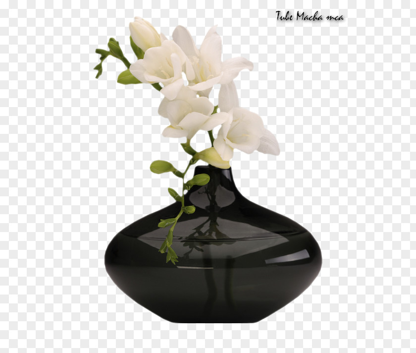 Vase Clip Art PNG