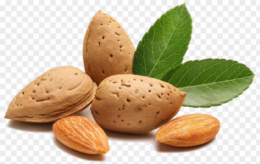 Walnut Mixed Nuts Food Almond PNG
