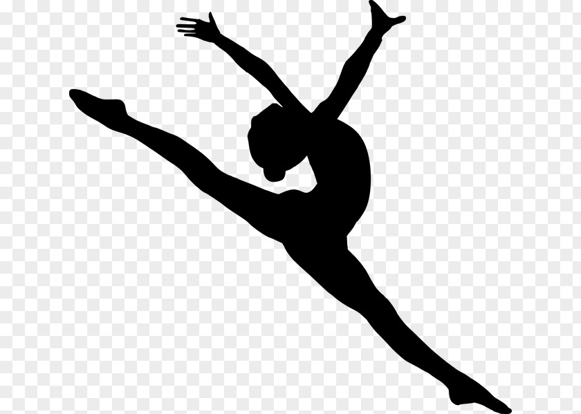 Concert Dance Volleyball Player Modern Ribbon PNG