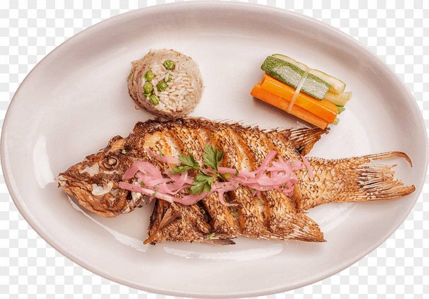 Fresh Seafood Restaurant Bar Cuisine Food Dish PNG