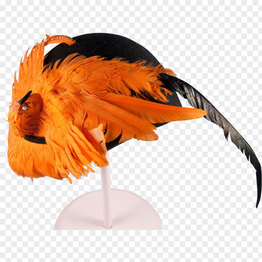 Golden Feathers Bird Hat Feather Felt Clothing PNG