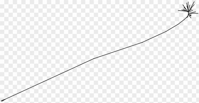 Leaf White Point Angle Line Art PNG