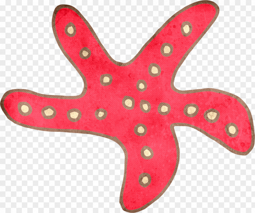 Red Starfish PNG