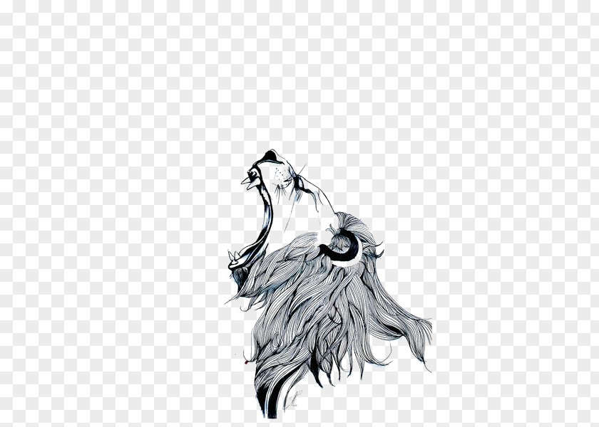 Sketch Lion PNG lion clipart PNG