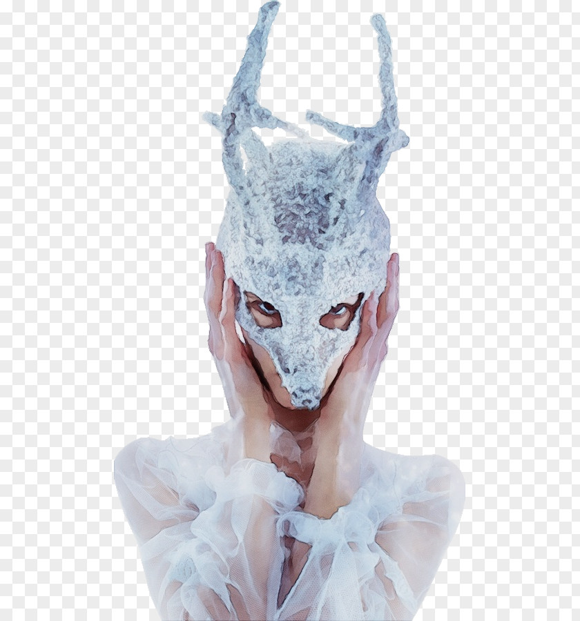 Mask Headgear Head Costume PNG