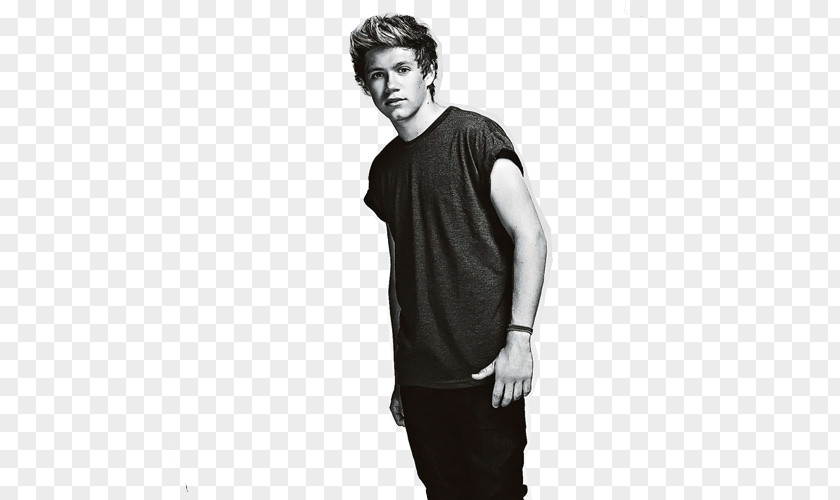 Niall Horan Mullingar One Direction Where We Are Tour IPhone Home PNG