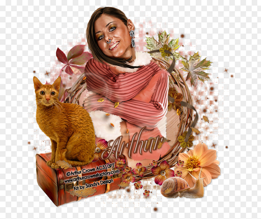 Autumn Discount Kitten Whiskers PNG