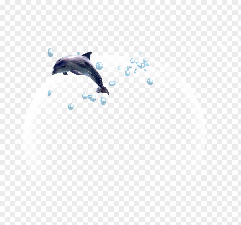 Blister Dolphin Sky Animal Pattern PNG