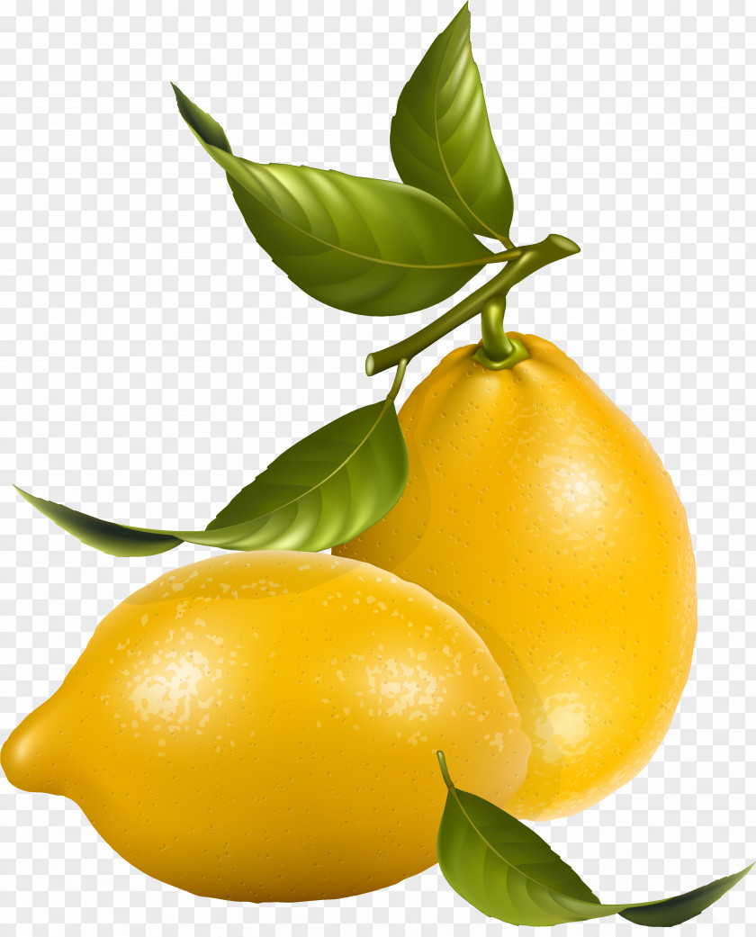 Pear Vegetarian Food Lemon Tree PNG