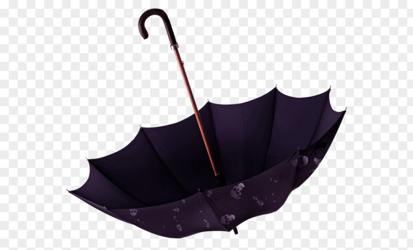 Umbrella PhotoFiltre Clip Art PNG