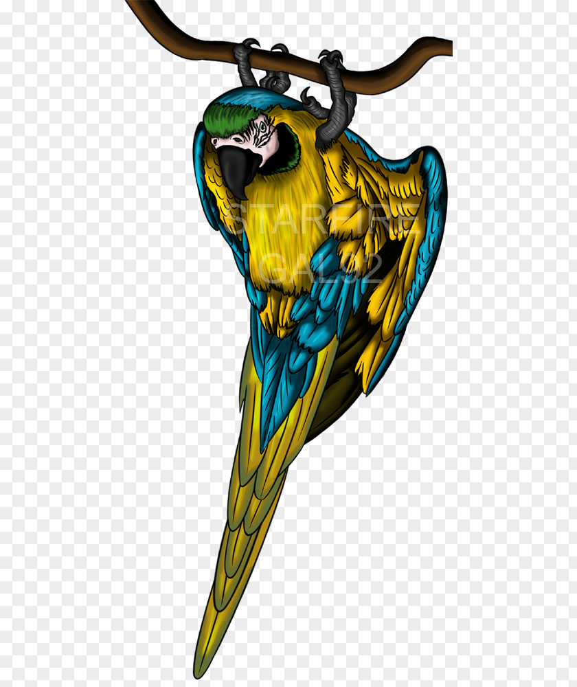 Blue And Gold Macaw Blue-and-yellow Wing T-shirt Feather PNG