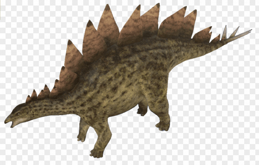 Dinosaur Stegosaurus Triceratops Allosaurus Tyrannosaurus Gallimimus PNG