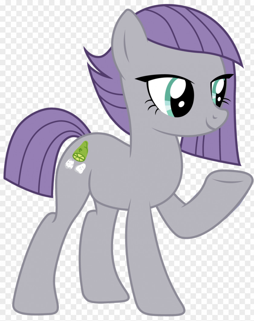 Horse Pony Instagram PNG