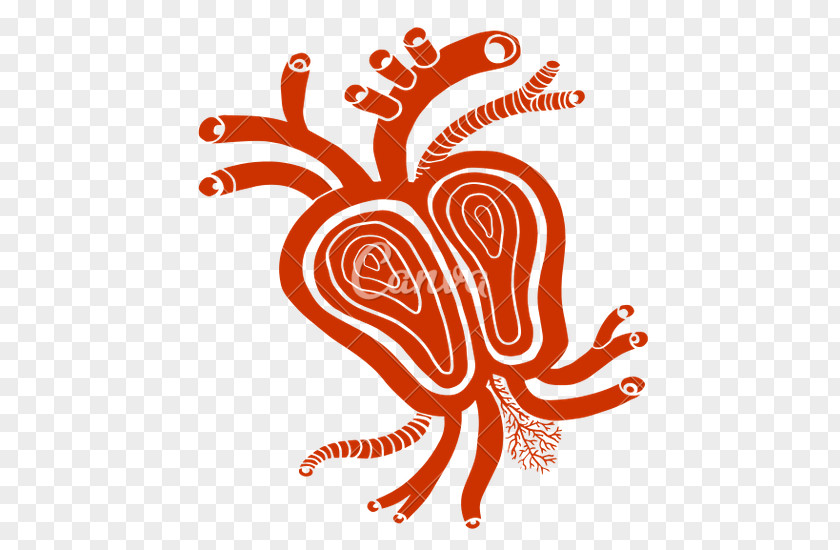 Human Heart Graphic Design Art Clip PNG
