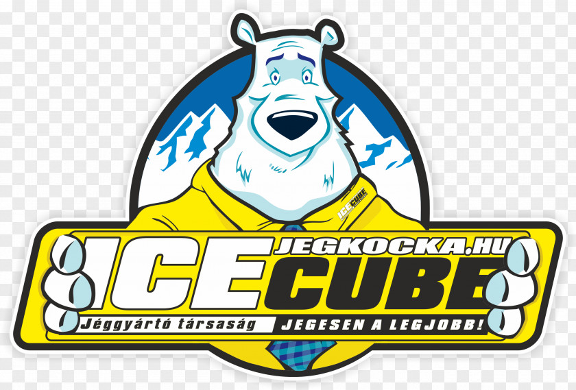 Ice Cube IceCube Neutrino Observatory Gyakorlo Jegcsarnok Private Limited Company PNG