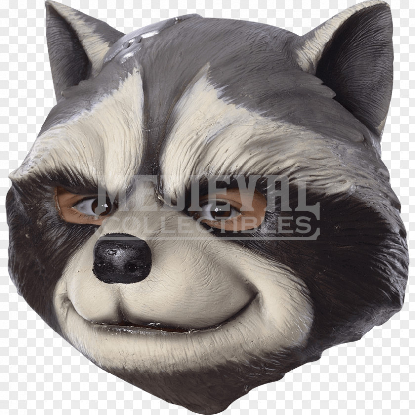 Rocket Raccoon Groot Star-Lord Drax The Destroyer Mask PNG