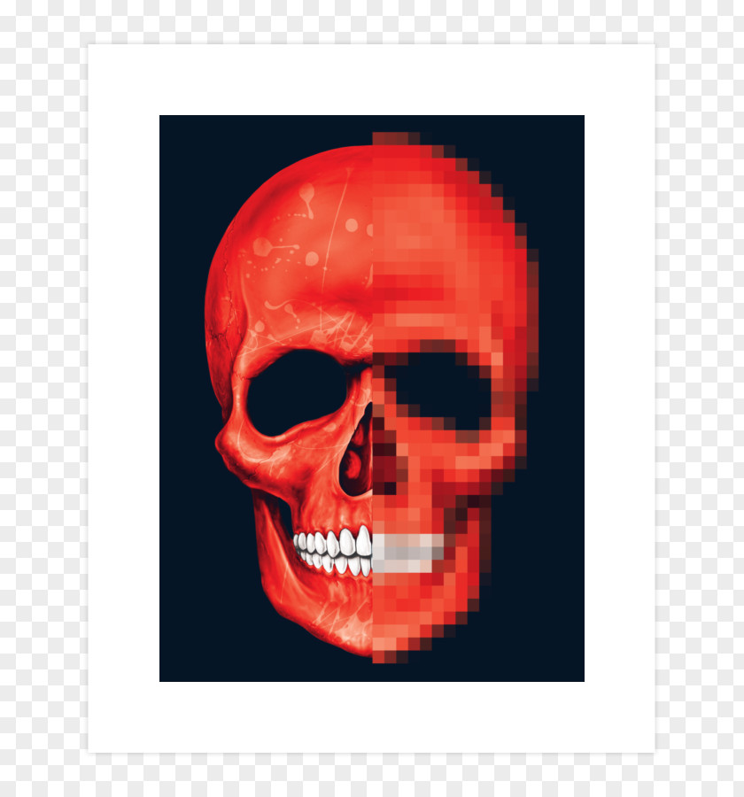 Skull Pixel Art Pixelation PNG
