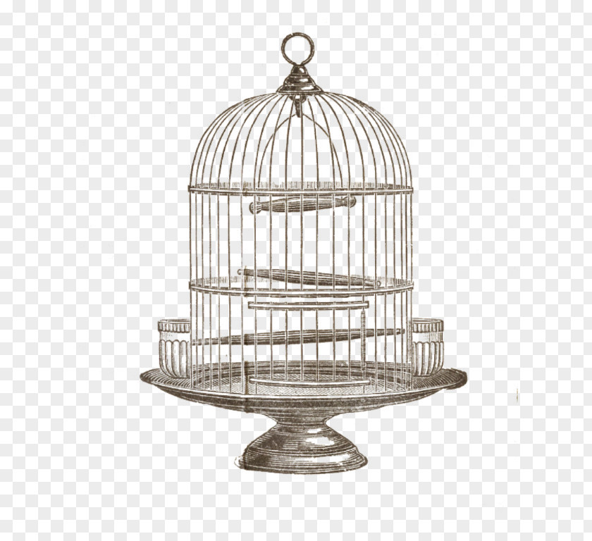 Bird Cage Birdcage Domestic Canary Clip Art PNG