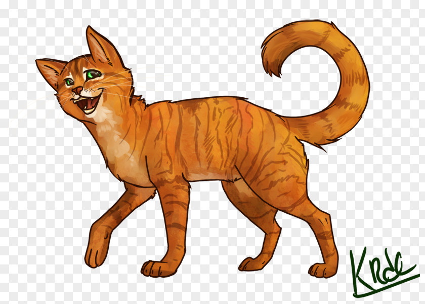 Cat Whiskers Wildcat Into The Wild Warriors PNG