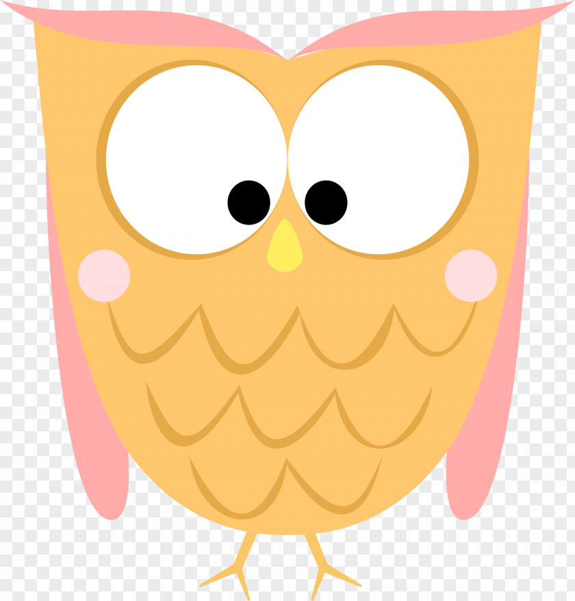 Owl Clip Art Image Illustration Photograph PNG