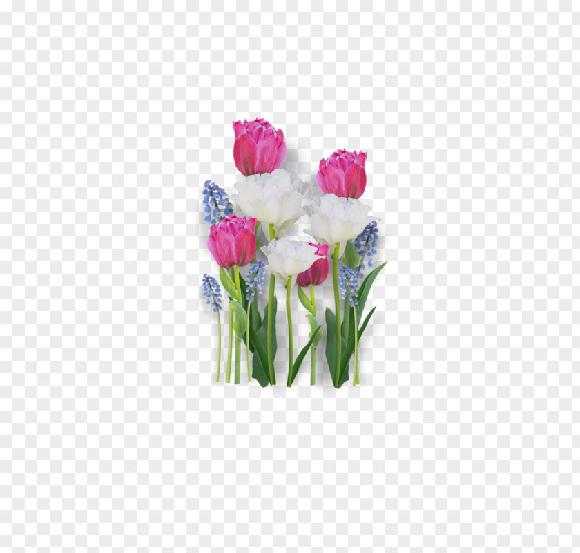 Tulip Flower Bouquet Cut Flowers Clip Art PNG