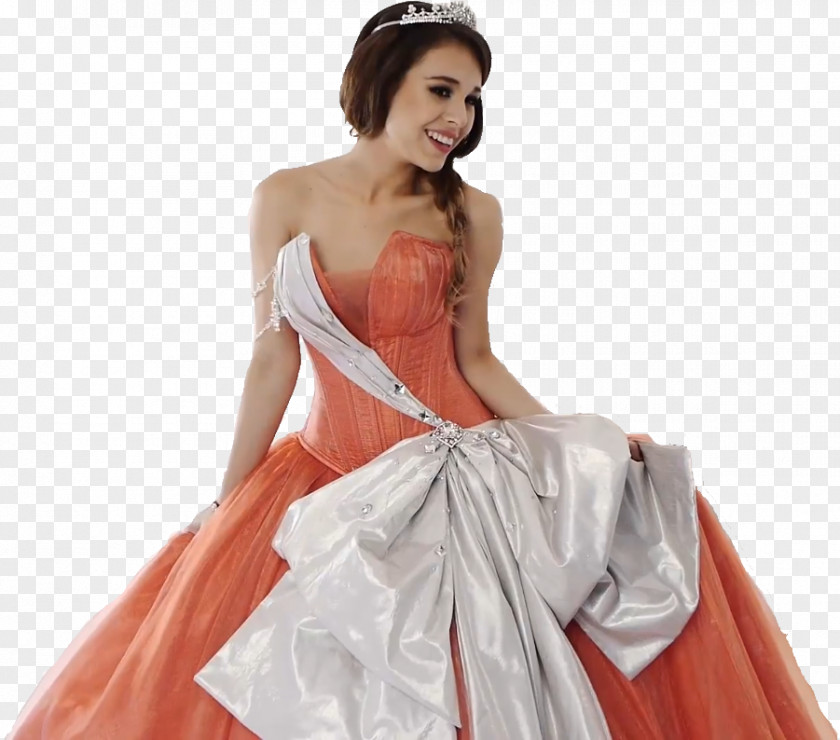 Artist Model Gown PNG