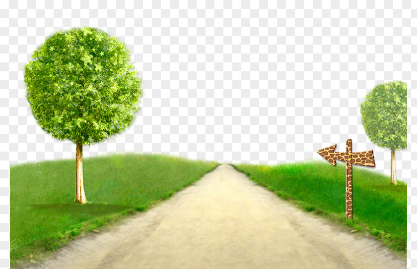 Country Road Wallpaper PNG